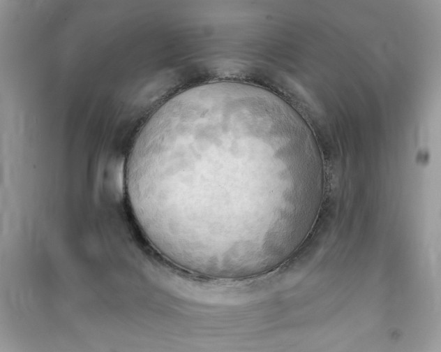 X0000090980028200708091507