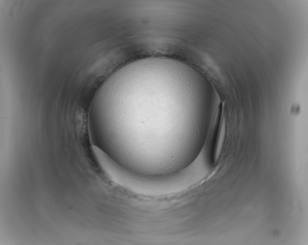 X0000090980029200708091507
