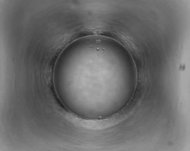 X0000090980030200708091507