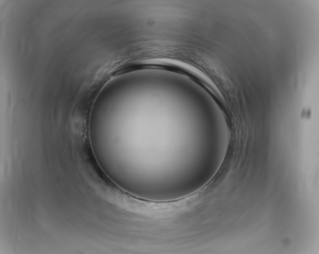 X0000090980031200708091507