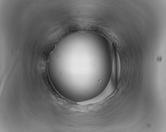 X0000090980033200708091507