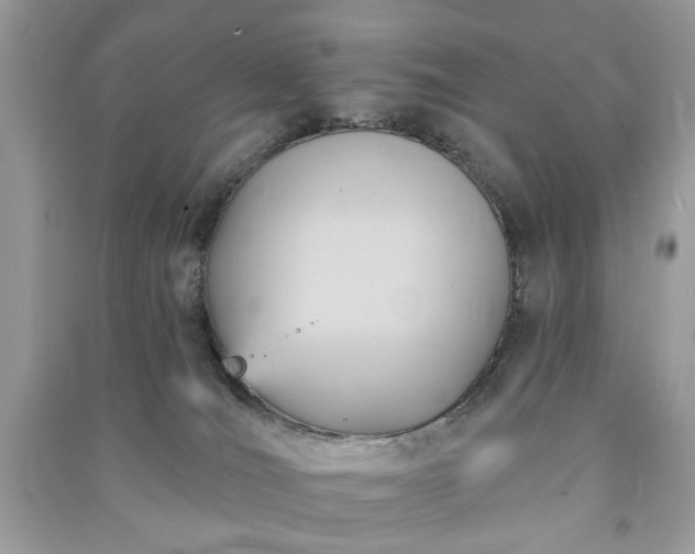 X0000090980036200708091507