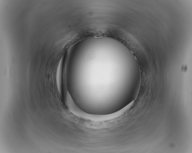 X0000090980037200708091507