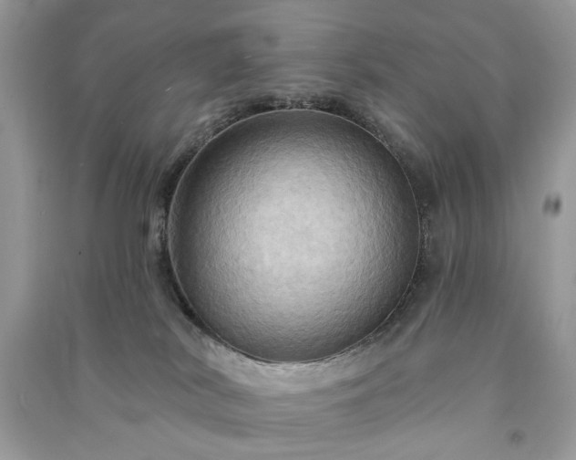X0000090980038200708091507