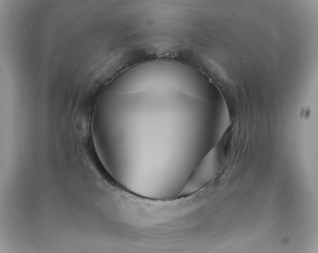 X0000090980039200708091507