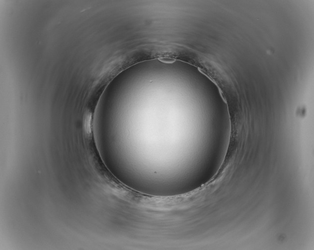 X0000090980041200708091507