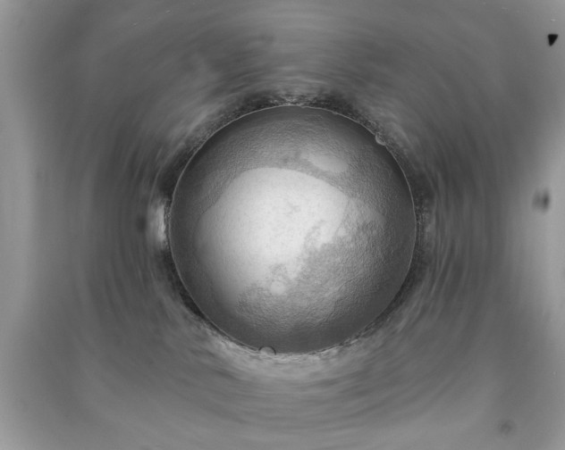 X0000090980042200708091507