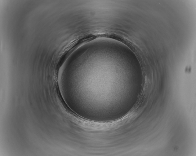X0000090980048200708091507