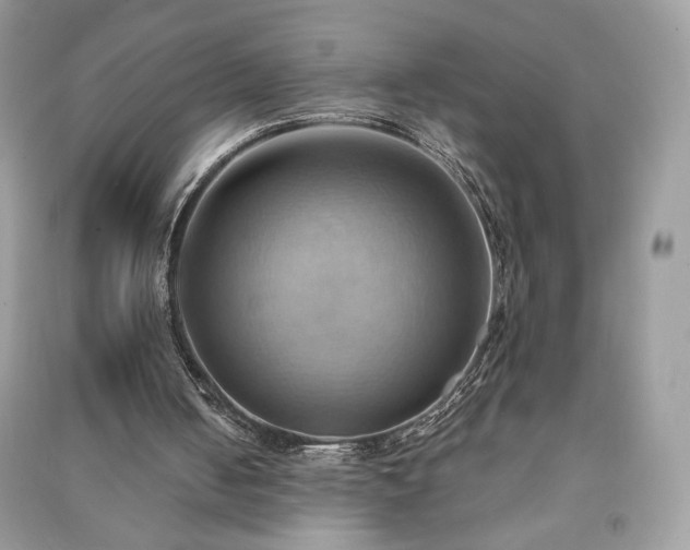 X0000090980050200708091506