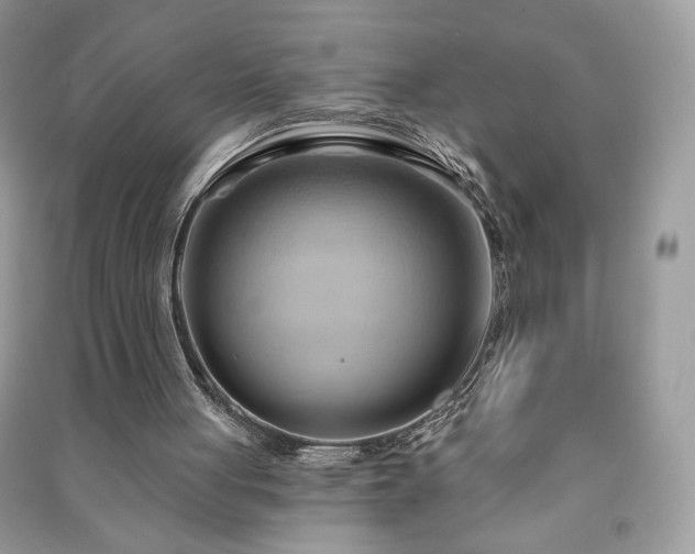 X0000090980051200708091506