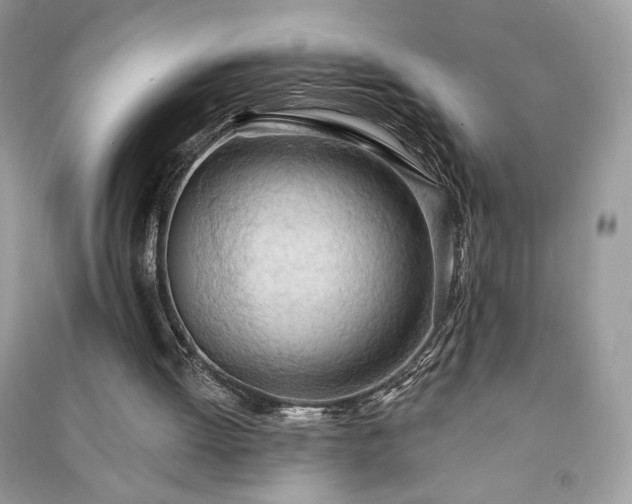 X0000090980052200708091506
