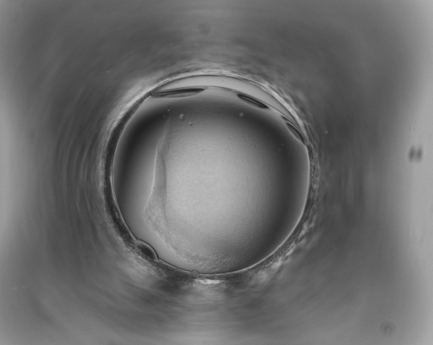X0000090980055200708091506