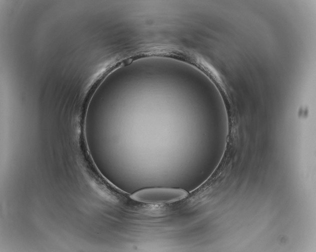 X0000090980059200708091506