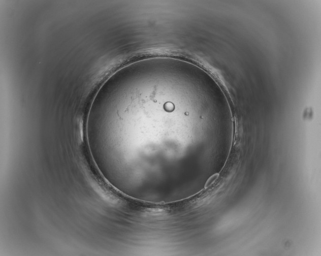 X0000090980061200708091506