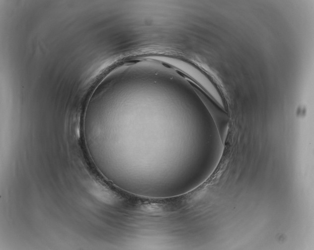 X0000090980062200708091506