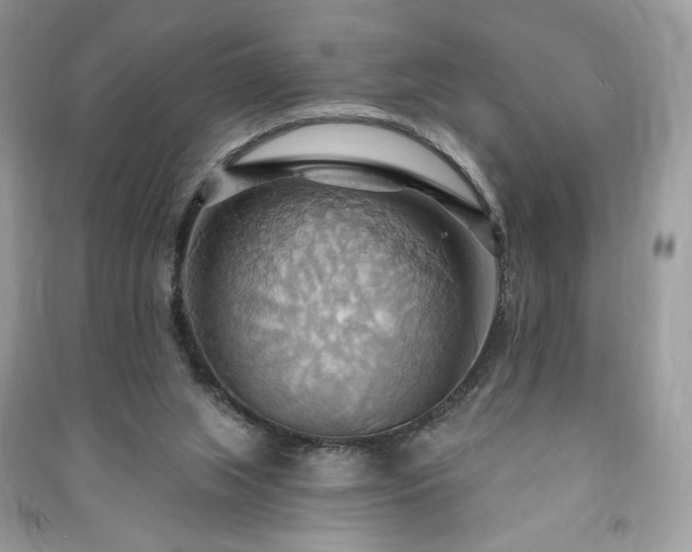 X0000090980063200708091506