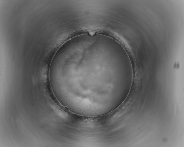 X0000090980065200708091506