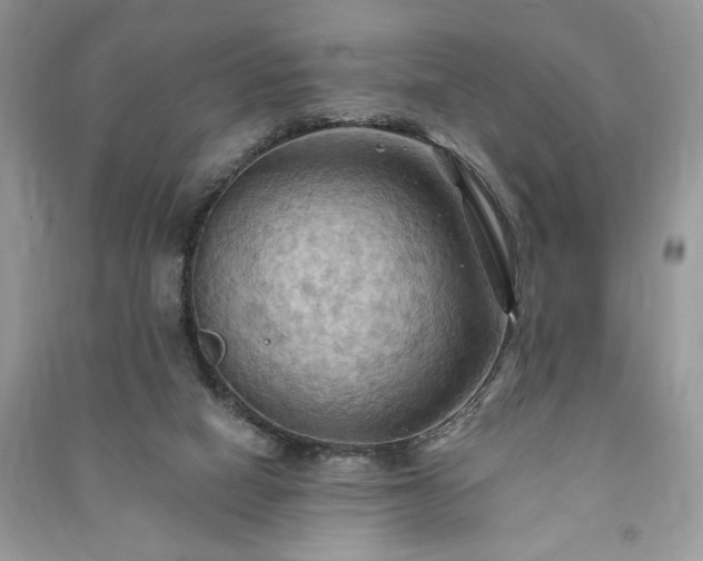 X0000090980066200708091506