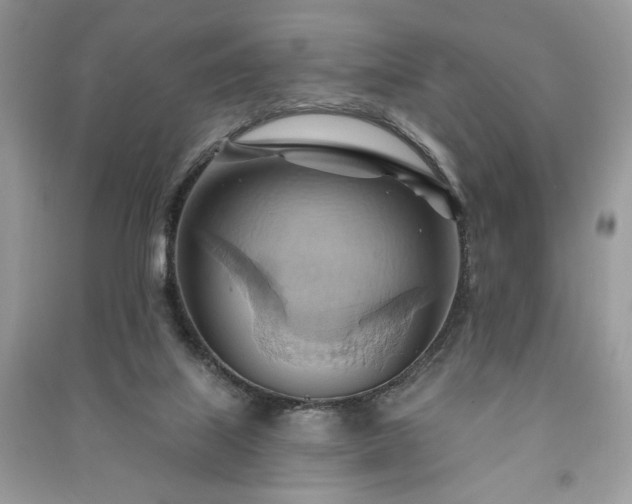 X0000090980067200708091506