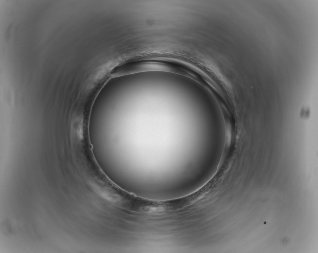X0000090980068200708091506