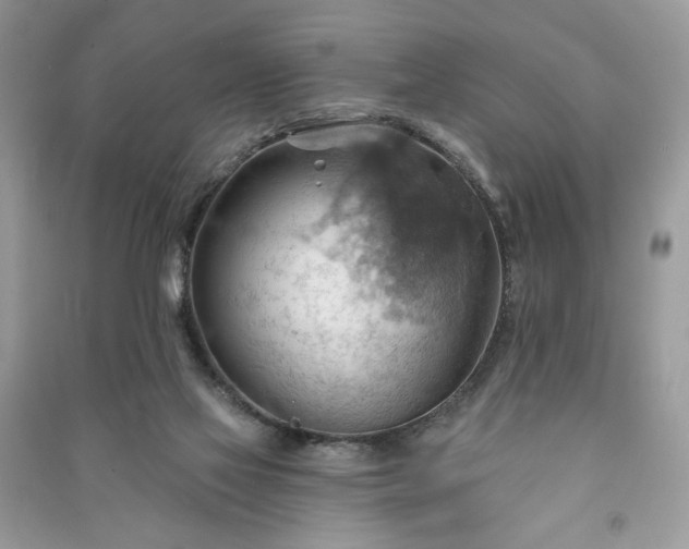 X0000090980069200708091506