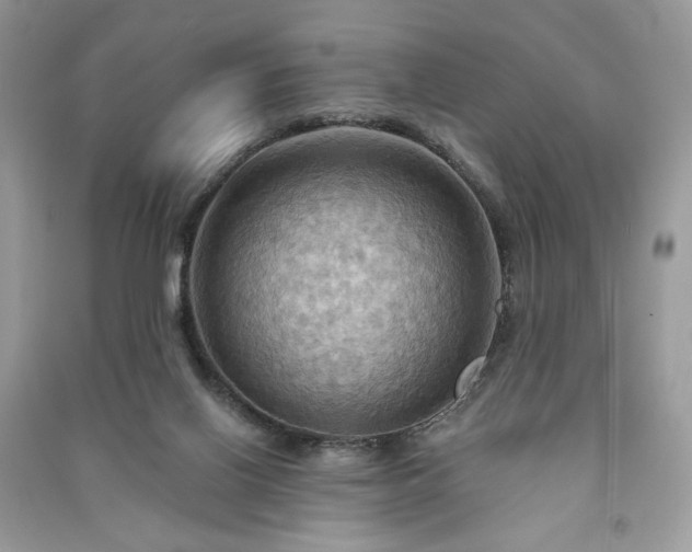 X0000090980070200708091506