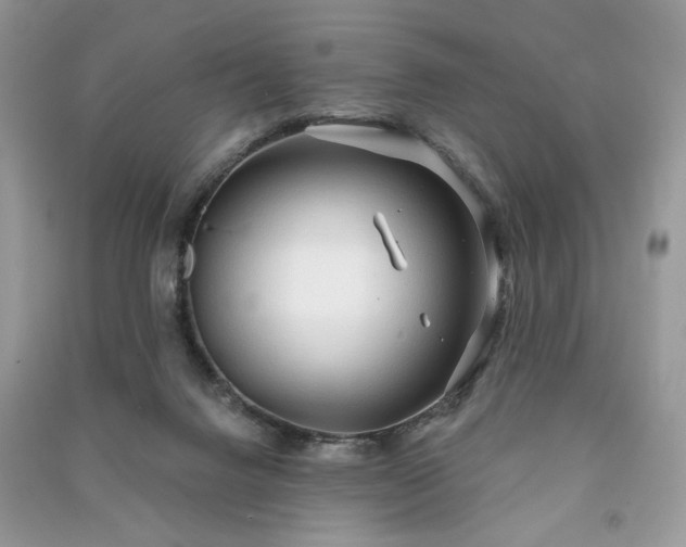 X0000090980072200708091506