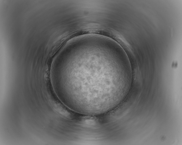 X0000090980073200708091506