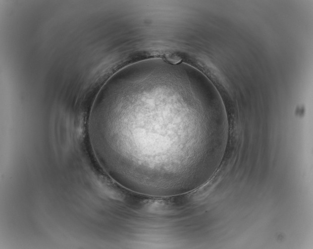 X0000090980074200708091506