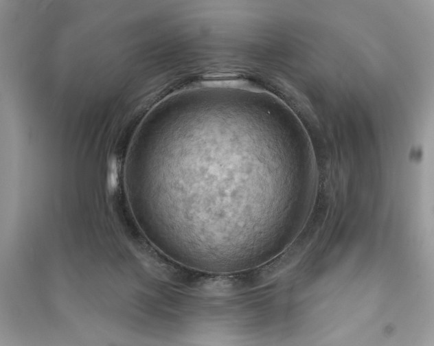 X0000090980075200708091506