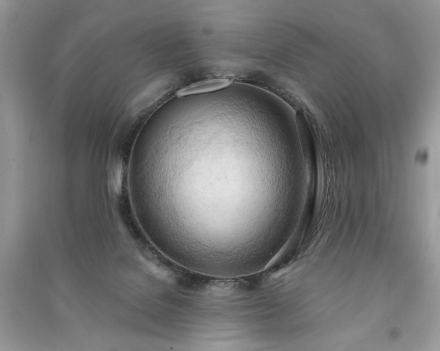 X0000090980076200708091507