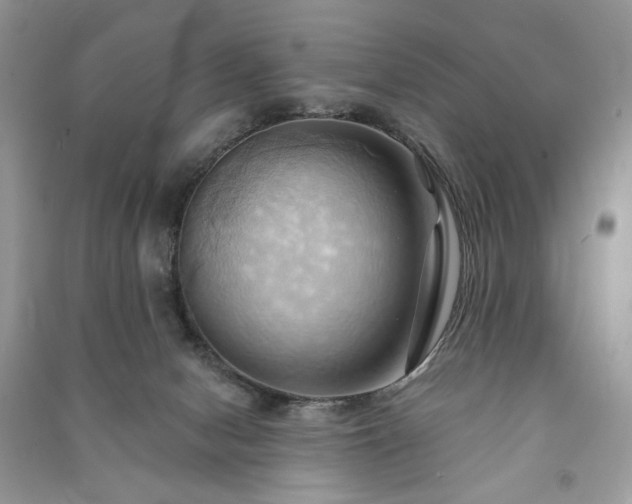 X0000090980078200708091507
