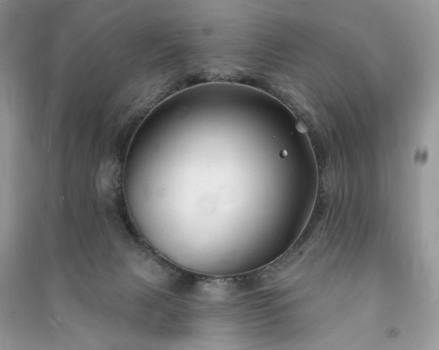 X0000090980079200708091507