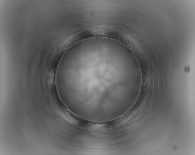 X0000090980081200708091507