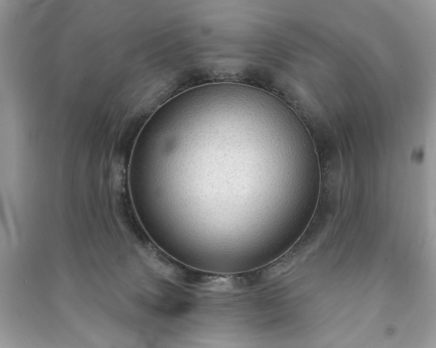 X0000090980083200708091507