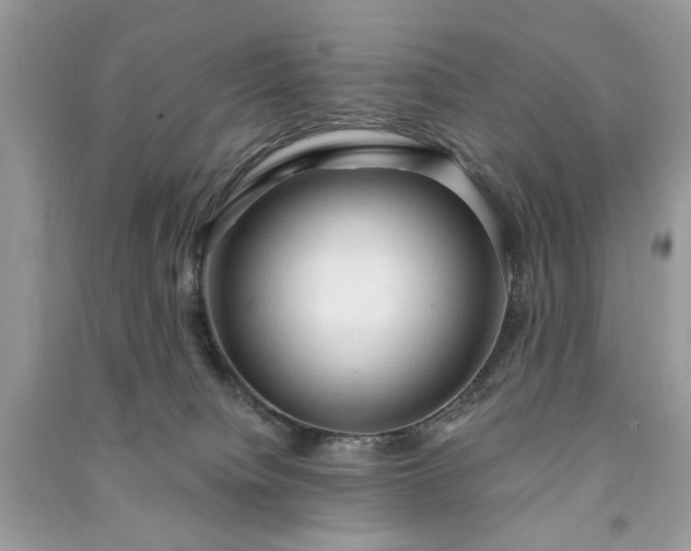X0000090980084200708091507