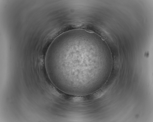 X0000090980085200708091507