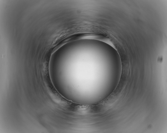 X0000090980088200708091507