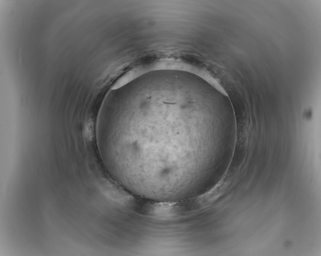 X0000090980090200708091507