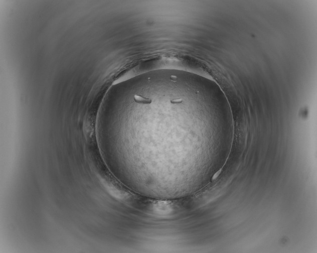 X0000090980091200708091507