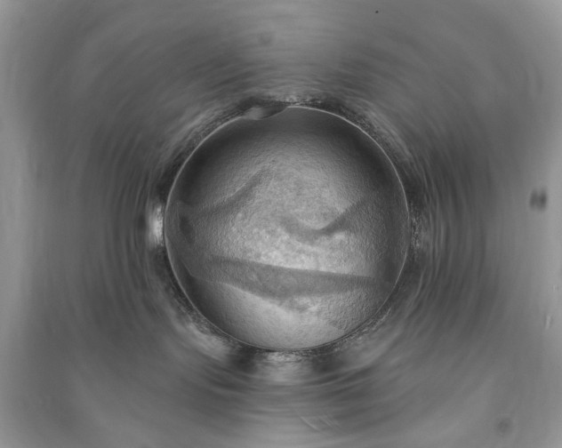 X0000090980095200708091507