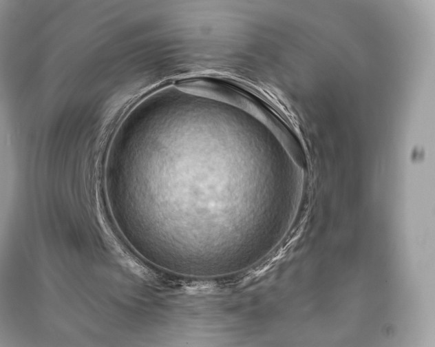 X0000090980097200708091506