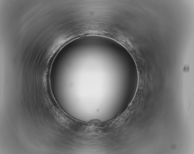 X0000090980098200708091506