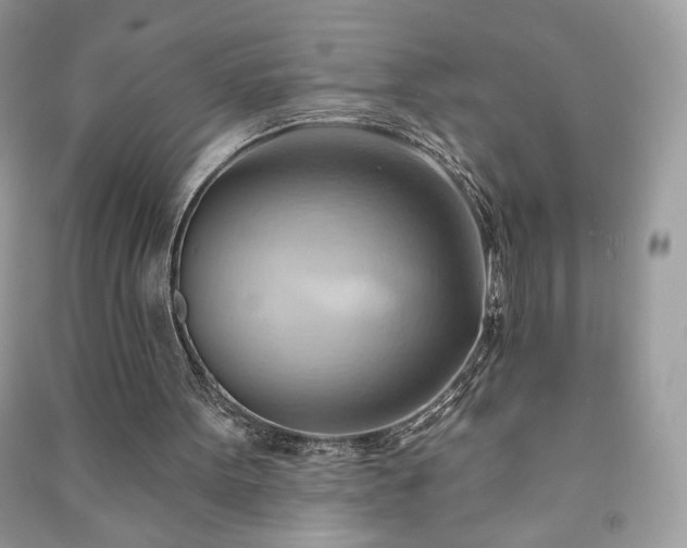 X0000090980099200708091506