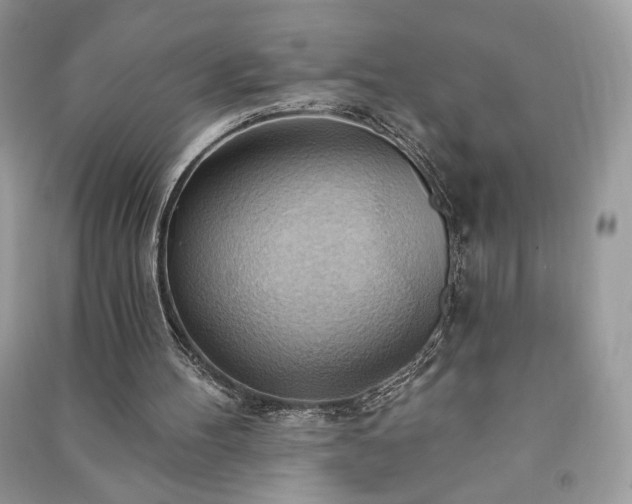 X0000090980100200708091506