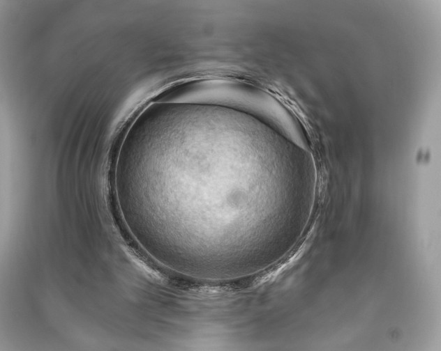 X0000090980101200708091506
