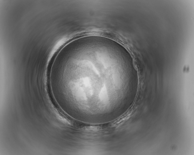 X0000090980102200708091506