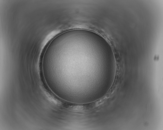 X0000090980104200708091506