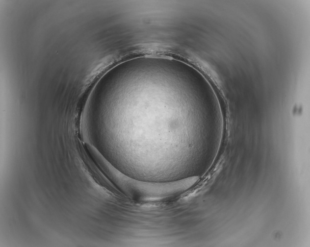X0000090980105200708091506
