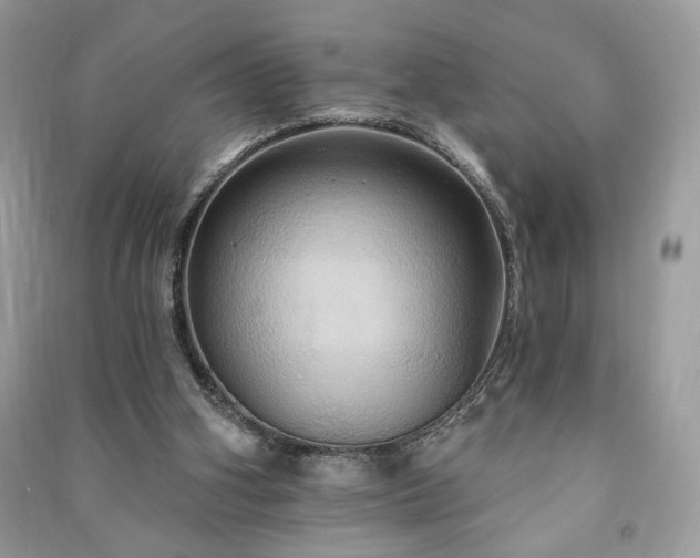 X0000090980106200708091506